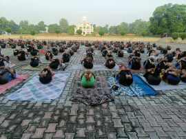 Click here to Enlarge